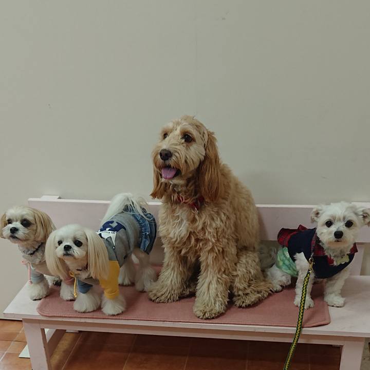 7ab6b00a b438 41f8 846d a458ca6ad36f 1578827974775