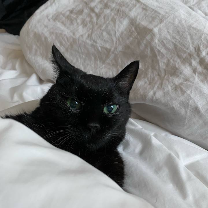 7ab6d3ae 79fa 4ca7 b10e 07bd9beb58d0 1634735399704