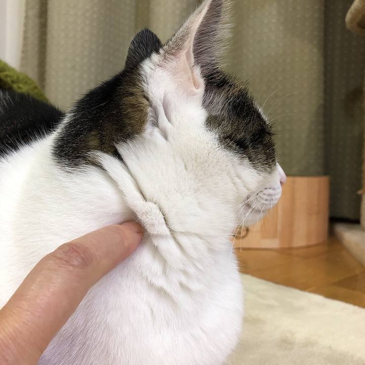 7ab6def2 1eb2 436c 9286 00b5de0d0b85 1667909582879