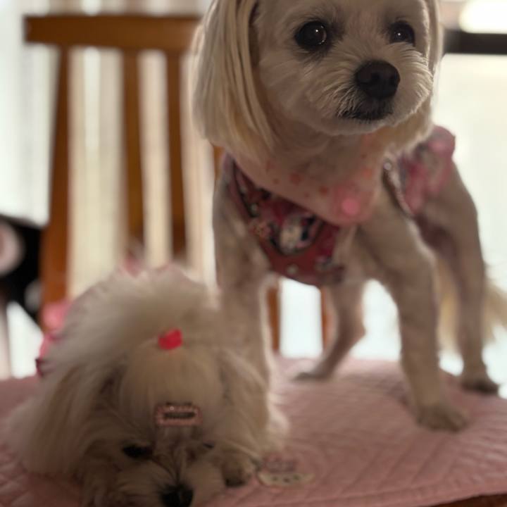 7ab6ece0 5595 4380 8081 96efce6d58bc 1751805398517