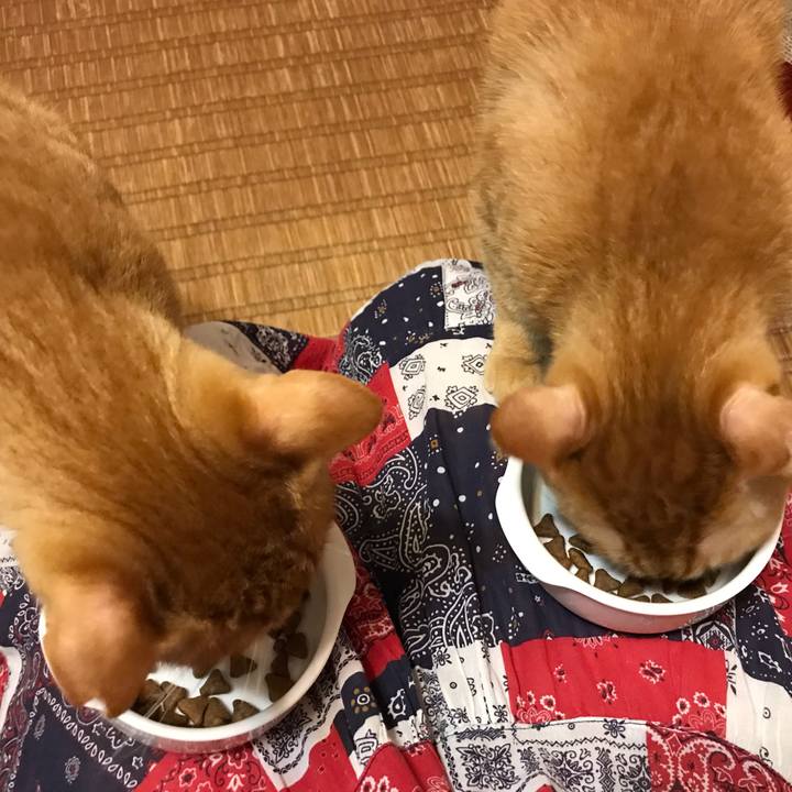 7ab6fc20 50d2 4cbd aad4 244aa3112c0d 1590314459088