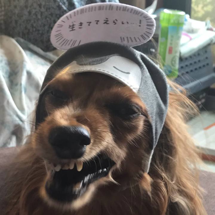 7ab73144 1716 4a4e 9517 0ddfe3567ce7 1566105728864