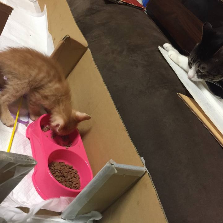 7ab76371 e7ae 4a0d a20c 40b7f1b61b31 1534205618383