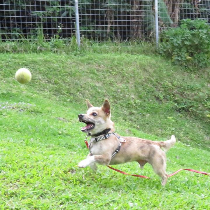 7ab7c191 9fa1 4ad1 afd9 9897f6b94b73 1554791463051