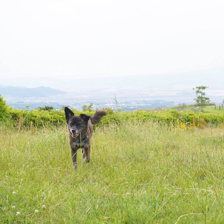 7ab7cde7 b81c 4709 95b1 743ed4dd17cd 1561119928649