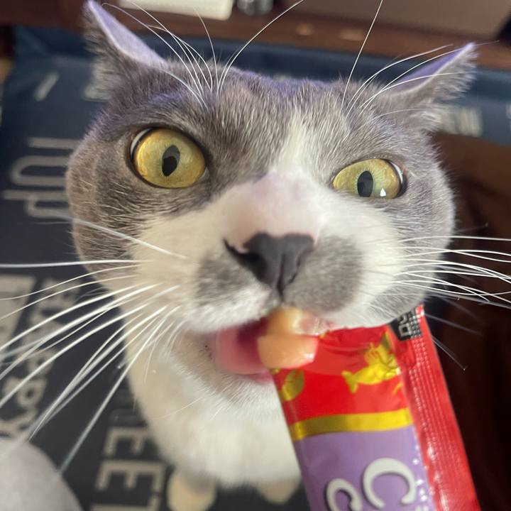 7ab85df3 b1e6 419b 8c45 1859155c90f3 1705131984513