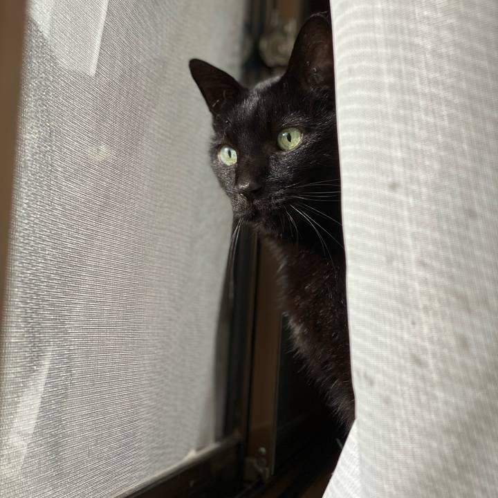 7ab86dd4 91ca 4756 9c18 0c869880178d 1637459438586