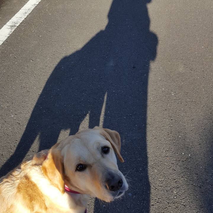 7ab899b0 2fa5 439f b28b d9a1e9692c85 1513215178617