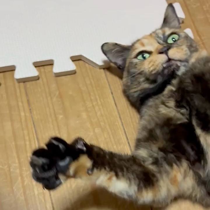 7ab8a5cb c10a 4db2 8fa5 9b198f5f715e 1749416249355