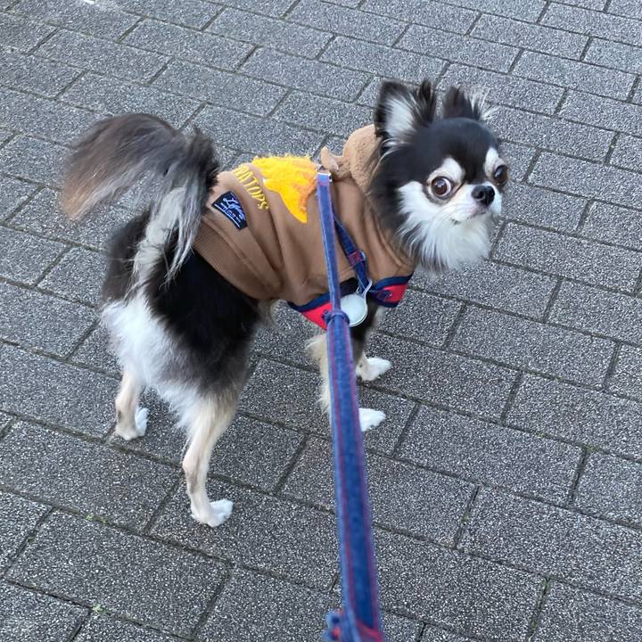 7ab8db91 9ba1 480f 8787 dd0643e23b82 1706343629177