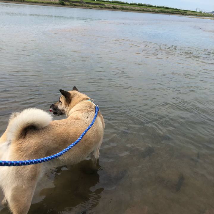 7ab90cf8 5e7e 45b1 8568 4b1a63662798 1624177196759