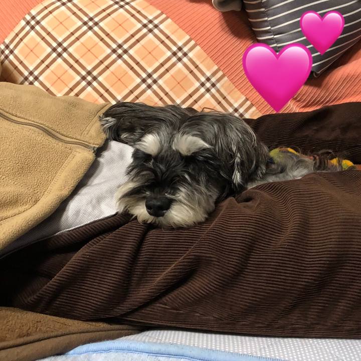 7ab91850 ced4 4d51 9318 2b029a7cd74e 1701348873353