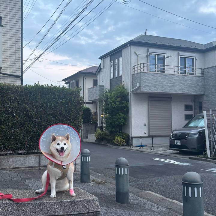 7ab9216a 0d0e 4a7e 959a a733dd655ce8 1756337258798