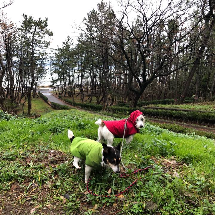 7ab9975d da82 4e3d 81b5 5f9b129fcac5 1575505997340