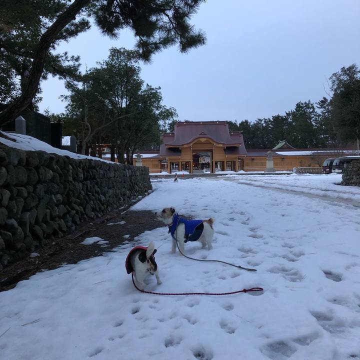 7ab99a13 6947 43da 9217 f869b248d2a5 1548630091514