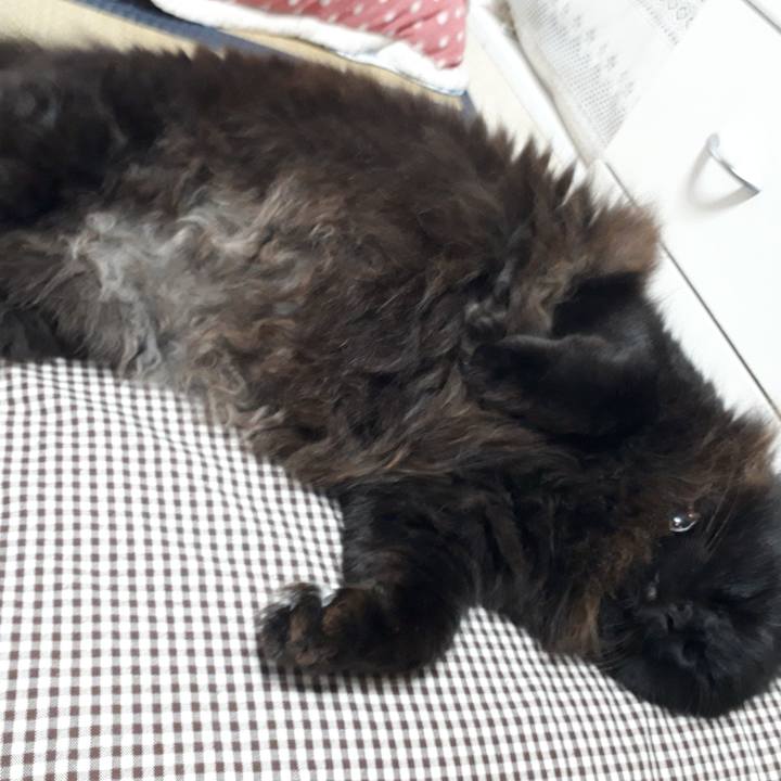 7ab9a104 fcb0 46ff ac5a abd932d4662e 1529365571390