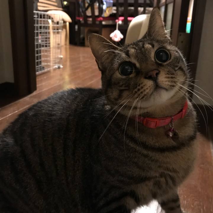 7ab9c243 ce08 456f a6f3 826364bee3d5 1550067958786