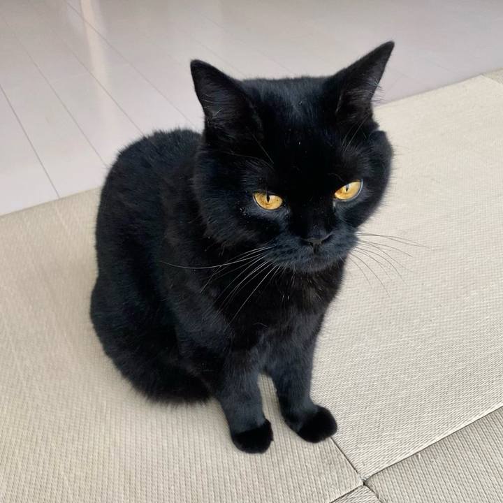 7ab9d3b6 ff4c 4d47 bb61 948812492a8b 1657701213815