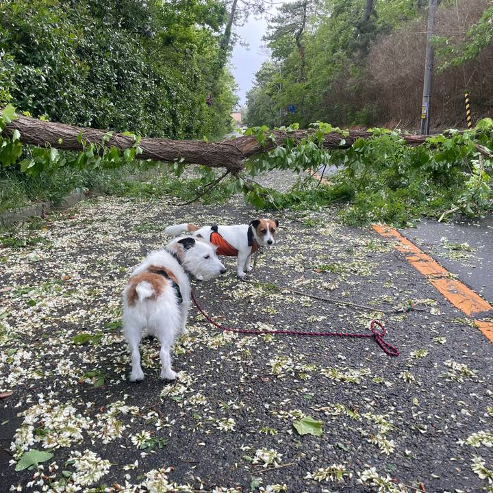 7ab9ea9b 88e4 42c8 80e9 b32ab684e759 1715900158972