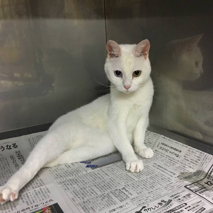 7aba2eef e059 47b6 860e df19479a3d2a 1558947374867