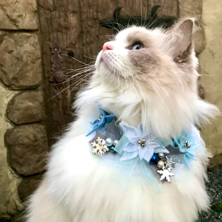 7aba3c2e ab38 4840 9d7e 42e97daac5ff 1636364711117