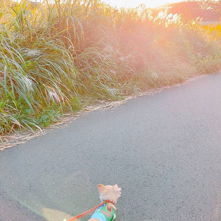 7aba3f6e fa29 44fd 99e8 64d5dd10ce98 1633874959594