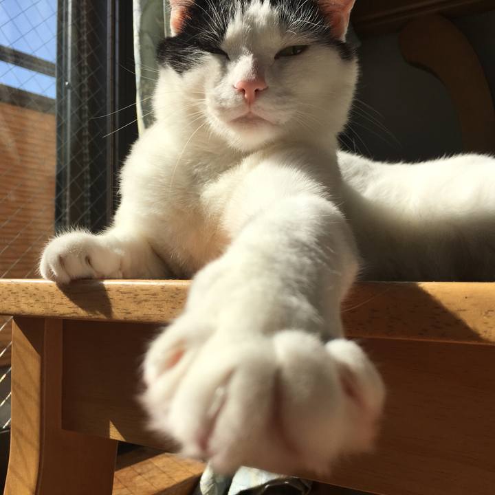 7aba9209 80c5 4498 89ed ac082ececc62 1518340200541