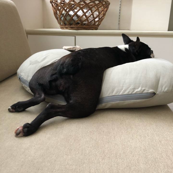 7abaa440 de3f 4b6d 9383 2386967bb7dc 1596184213456