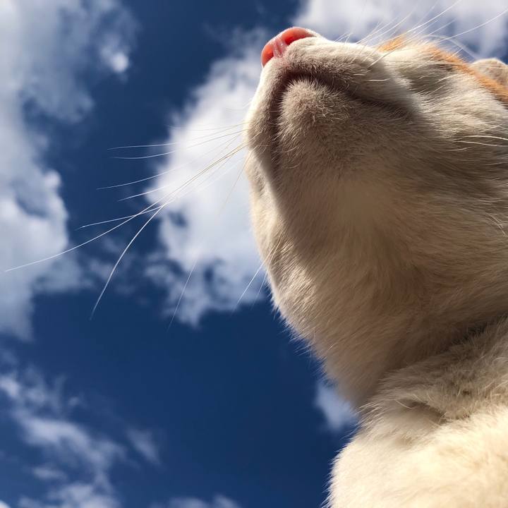 7ababc95 10f9 4c8a 9cca ab4147717af1 1553755213522