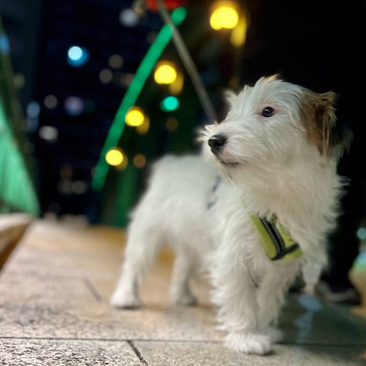 7abadc70 939f 4caa 853b 3336b50df6eb 1706628004307