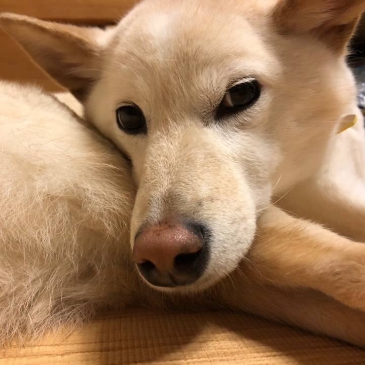 7abafdcb ab7f 4fb8 a810 26145b793f3b 1586610927072