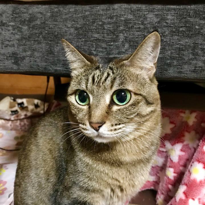 7abb2a62 8da3 4885 b204 db0bbfe92c7b 1552136730249