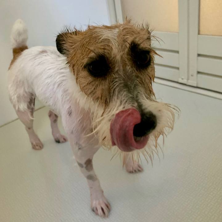 7abb7ca2 d2a5 43ee b2d8 878f4aaec08f 1656545199222