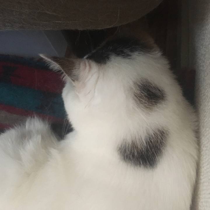 7abb8940 b8c5 4df7 bc6a 6fa880430524 1622429636499