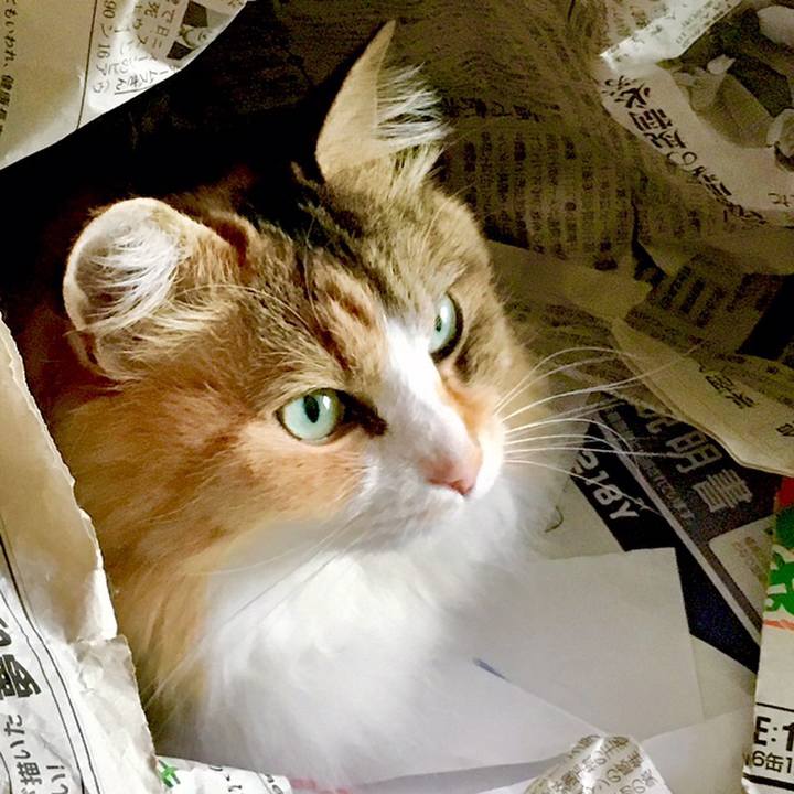 7abba18c d2bd 4506 bc38 f2307ba5b778 1559357410439