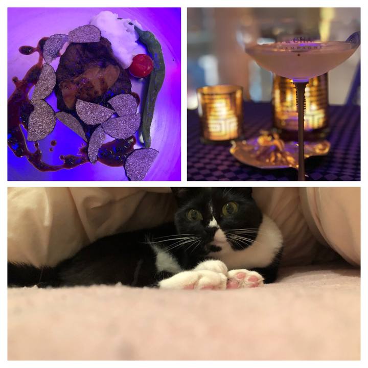 7abbffd9 5031 4f8b b398 e6ce68a5aae9 1564352300214