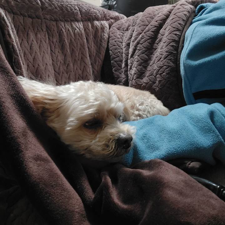 7abc17bf c2b9 40d5 9759 2967e75df978 1645613189764