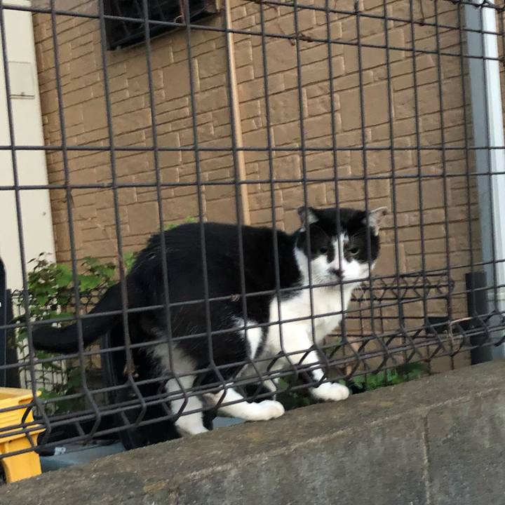 7abc206c 452c 4704 9566 cb7b7742a3a3 1664102322123