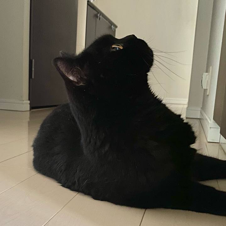 7abc28a2 7981 4c54 8a81 b75f6c97ba03 1721381376203