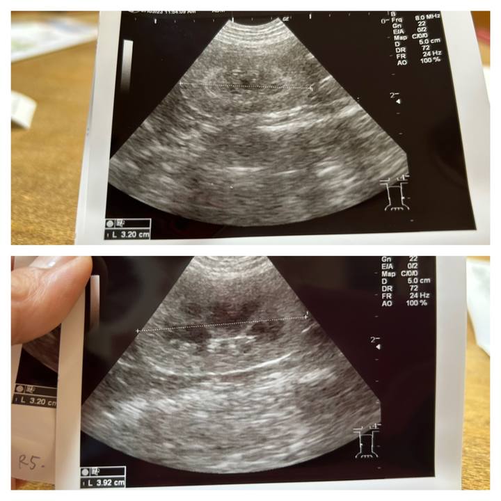 7abc3214 7c9c 4eb1 a019 52a3f6408299 1688804220434