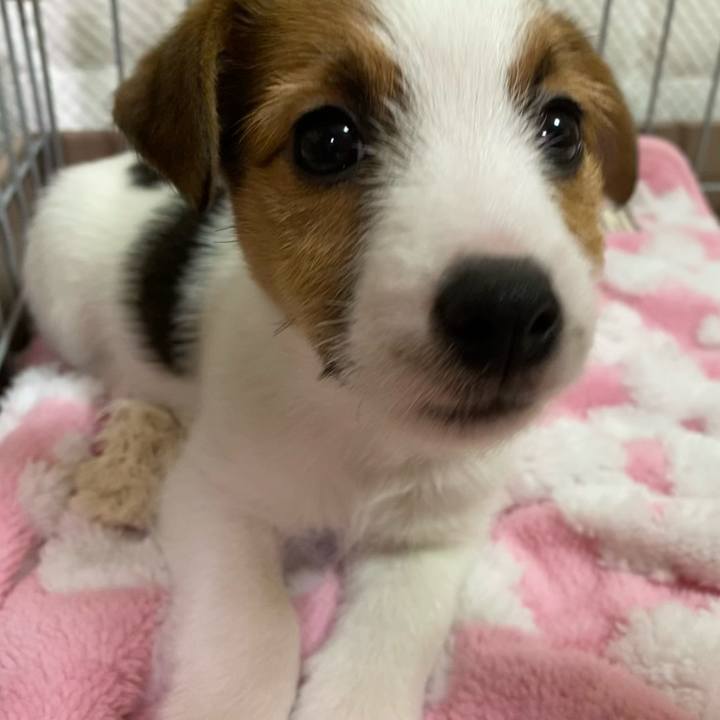 7abc331d f416 46a2 87ff c1de1421bd05 1610275775213