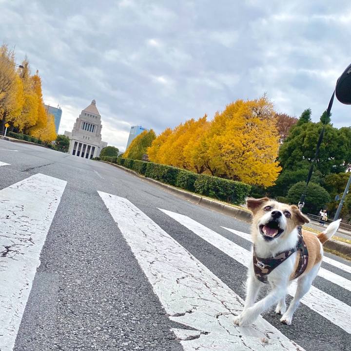 7abc33ec fc41 4bc5 babe 0767ee7186a1 1764765727473