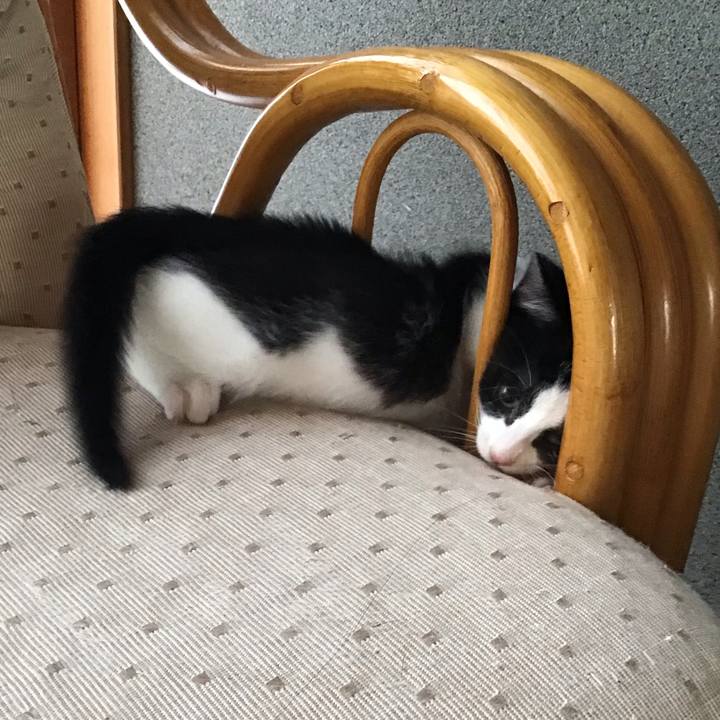 7abc3da4 2c1e 4950 9331 ca8ea42c65ab 1624671514370