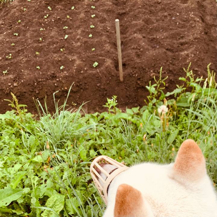 7abc3e94 0939 4dde bcdd caa528fdb94e 1658782811545