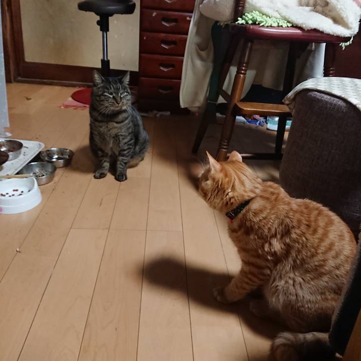 7abc436c e383 47cf befd dc770bb12e26 1641985272513