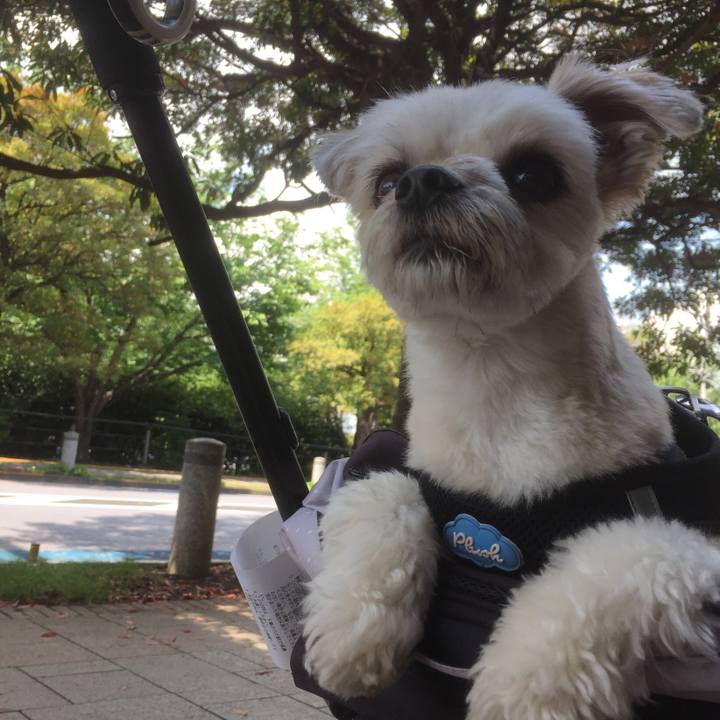 7abc5ef1 f006 4699 82a8 de51bdb343f8 1556963212965