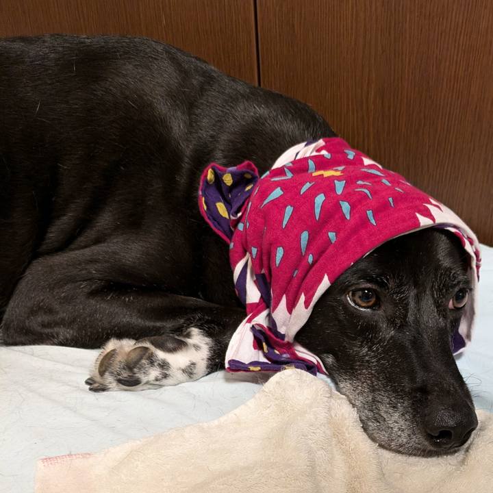 7abc5f4c b707 495d 8c22 cff8f19b9f0f 1725101472873