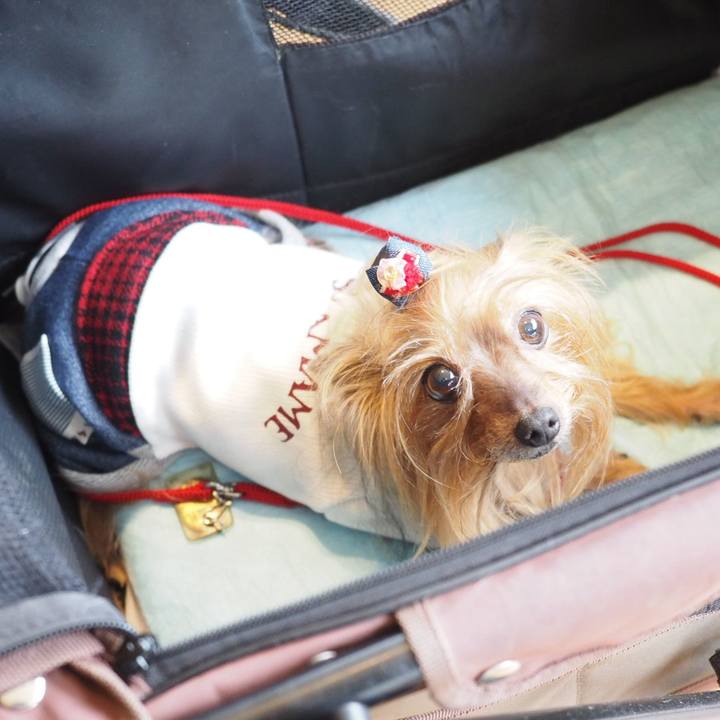 7abc6652 9497 4c00 8e72 e9c4b01431d5 1539338603461