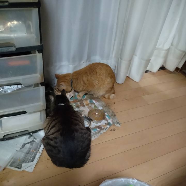 7abc7b74 b759 461b 9304 91b09fdb2c99 1744926663532