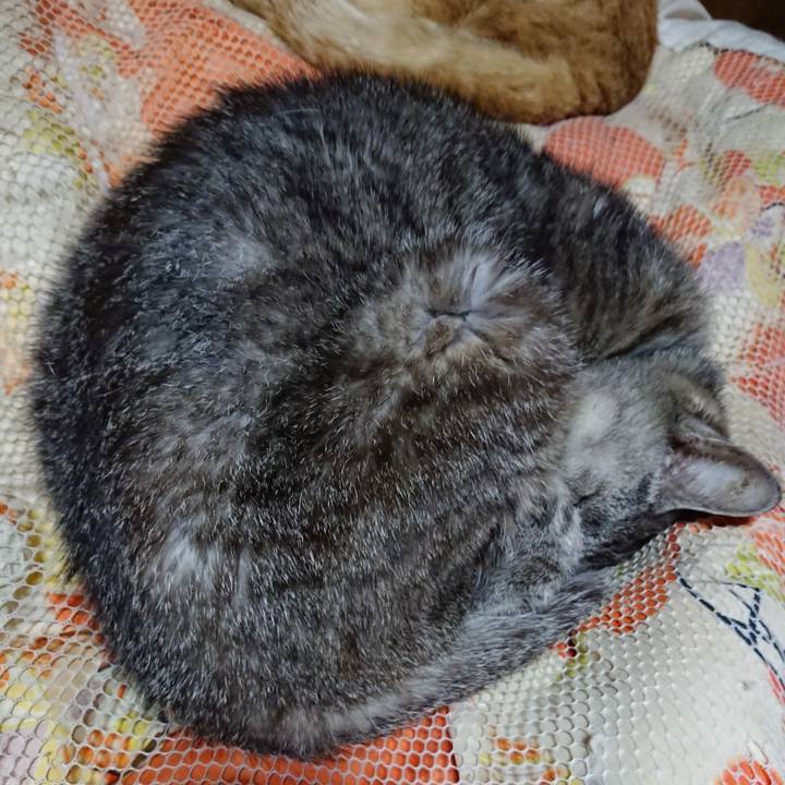 7abca37d 241e 4a97 b13a 0fc6010456cb 1569329753029